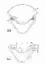 Fig. 03 - Bicycle wheel rim