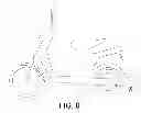 Fig. 09 - AXIAL GAP TYPE ELECTRIC ROTATING MACHINE, ELECTRIC WHEELCHAIR AND ELECTRIC BICYCLE