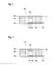 Fig. 02 - SENSOR DEVICE AND METHOD FOR PRODUCING A SENSOR DEVICE FOR ACCOMMODATION IN A GALVANIC CELL