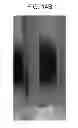 Fig. 18 - Magnetic device using permanent magnets