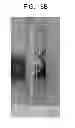 Fig. 20 - Magnetic device using permanent magnets