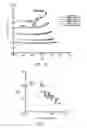 Fig. 06 - Estimating the remaining life of shape memory alloy actuators