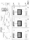 Fig. 02 - Methods and apparatus for providing notifications in a media system