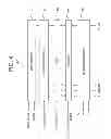 Fig. 05 - Electrophoretic display device and driving method thereof