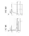 Fig. 10 - Electrophoretic display device and driving method thereof