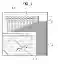 Fig. 11 - Organic light emitting display