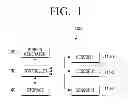 Fig. 02 - Flexible apparatus and control method thereof