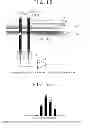 Fig. 09 - POSITION DETECTING DEVICE