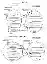 Fig. 08 - Systems and methods for program interfaces in multipass rendering