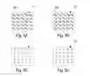 Fig. 06 - Image sharpness classification system