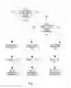 Fig. 09 - Image sharpness classification system