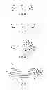 Fig. 06 - Stress Insensitive Liquid Crystal Display