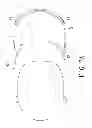 Fig. 08 - Eyeglasses with movable temple end pieces