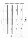 Fig. 05 - Cube corner sheeting having optically variable marking