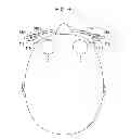 Fig. 07 - Image display apparatus