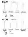 Fig. 22 - Imaging lens and imaging device