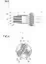 Fig. 09 - Illumination device for exciting a fluorescent substance