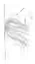 Fig. 12 - Light fixture with wide-angle light distribution