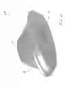 Fig. 13 - Light fixture with wide-angle light distribution