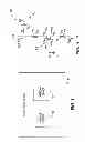 Fig. 02 - Methods for sensing memory elements in semiconductor devices