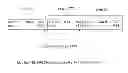 Fig. 01 - Channel quality reporting in a wireless communication system