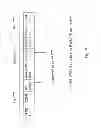 Fig. 06 - Channel quality reporting in a wireless communication system