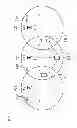 Fig. 07 - Method and apparatus for allocating transmission channel in wireless local area network system