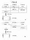 Fig. 09 - METHOD AND APPARATUS FOR ALLOCATING RESOURCE OF RESPONSE CONTROL INFORMATION IN WIRELESS COMMUNICATION SYSTEM