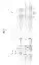 Fig. 02 - Method for transmitting signal using plurality of antenna ports and transmission end apparatus for same