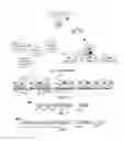 Fig. 02 - Time Slot Synchronized, Flexible Bandwidth Communication System