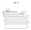 Fig. 09 - Vertical-cavity surface-emitting laser and method of fabricating the same