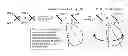 Fig. 01 - METHOD AND APPARATUS TO GENERATE VIRTUAL SECTOR WIDE STATIC BEAMS USING PHASE SHIFT TRANSMIT DIVERSITY