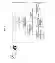 Fig. 02 - Person recognition apparatus and method thereof
