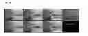 Fig. 09 - Method and system for real time stent enhancement on live 2D fluoroscopic scene