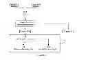 Fig. 07 - Device and method for detecting the presence of a logo in a picture