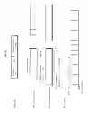 Fig. 40 - DISPLAY DEVICE AND TRANSMISSION DEVICE