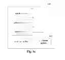 Fig. 08 - Updating apparatus and method for equalizer coefficient, receiver and otpical communication system