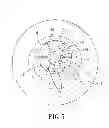 Fig. 06 - HELICAL IMPELLER TYPE LIQUID RING COMPRESSOR