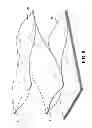 Fig. 07 - Decontamination apparatus and method