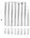 Fig. 02 - Anti-tissue factor antibodies and compositions