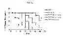 Fig. 09 - Anti-tissue factor antibodies and compositions