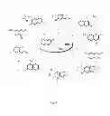 Fig. 09 - MOLECULAR PROBES FOR DETECTING LIPID COMPOSITION