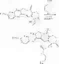 Fig. 321 - TARGETED THERAPEUTICS
