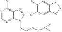 Fig. 69 - TARGETED THERAPEUTICS