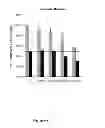 Fig. 07 - METHODS AND COMPOSITIONS FOR IMPROVING ANTIANGIOGENIC THERAPY WITH ANTI-INTEGRINS