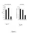 Fig. 08 - METHODS AND COMPOSITIONS FOR IMPROVING ANTIANGIOGENIC THERAPY WITH ANTI-INTEGRINS