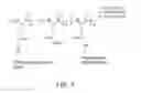 Fig. 02 - Conjugates of polymers having a therapeutically active agent and an angiogenesis targeting moiety attached thereto and uses thereof in the treatment of angiogenesis related diseases