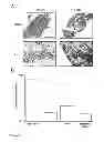 Fig. 09 - Treatment of pain