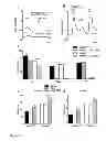 Fig. 14 - Treatment of pain