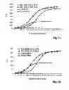 Fig. 07 - NANOPARTICLES BASED FOR DERMAL AND SYSTEMIC DELIVERY OF DRUGS